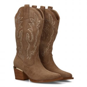 Bota de Mujer con Detalles brillantes elegantes en la caña y Tacón comodo